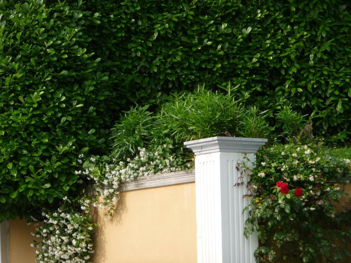 Ville Lago Lugano Порто-Черезио Экстерьер фото