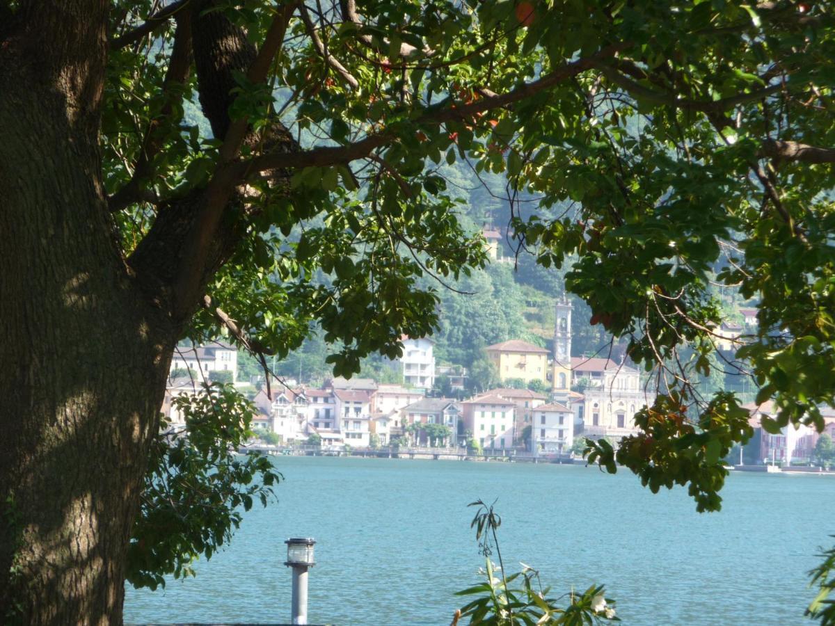 Ville Lago Lugano Порто-Черезио Экстерьер фото
